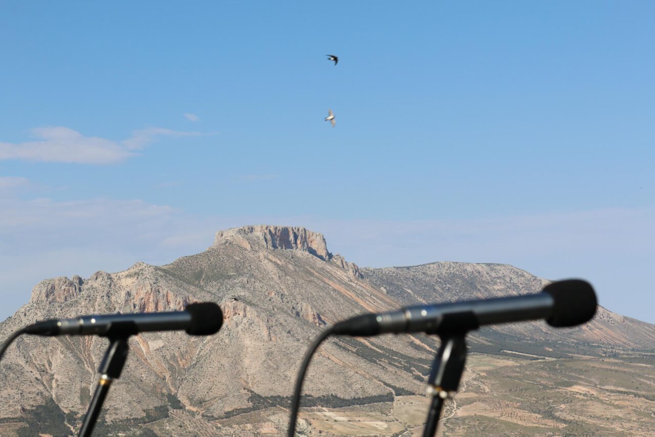 stereo mics soundscpae