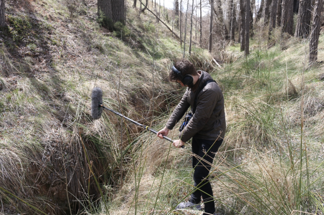 Screenshot 2020-11-29 at 13.13.56