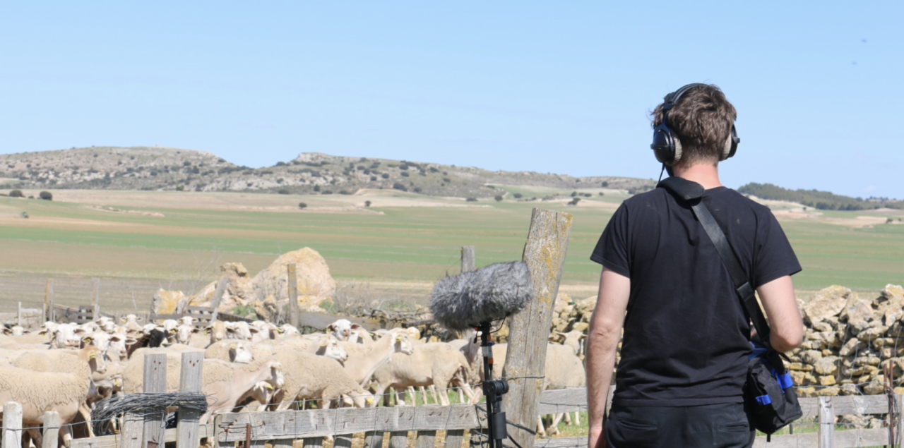 Screenshot 2020-11-29 at 13.14.15